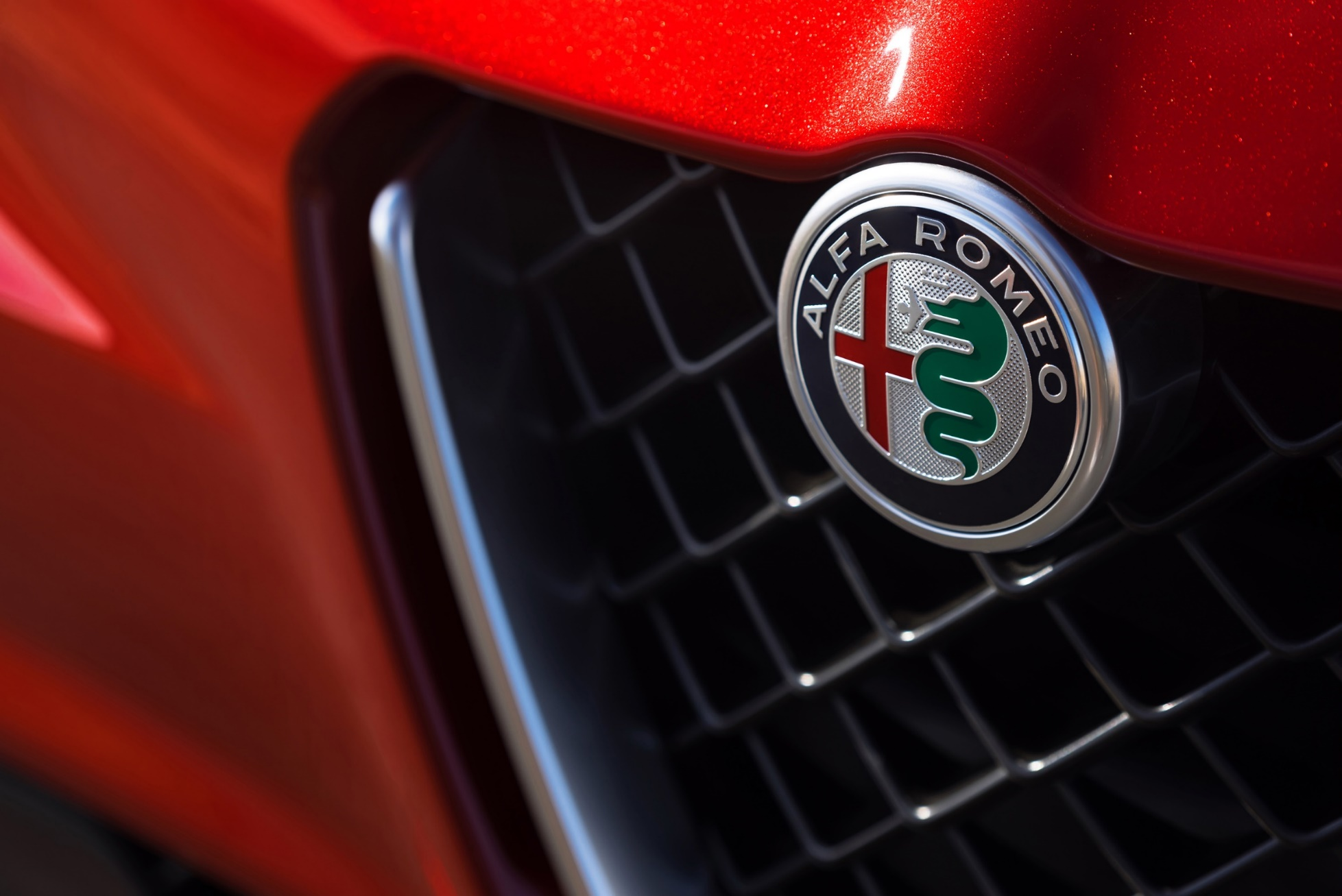ALFA ROMEO 垂直论坛运营项目